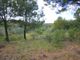 Thumbnail Land for sale in Azinhal, Castro Marim, Faro