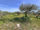 Thumbnail Property for sale in Castellana Grotte, Puglia, 70013, Italy