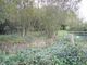 Thumbnail Property for sale in Black Lane, Bransgore, Christchurch, Dorset