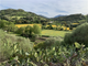 Thumbnail Land for sale in Luogosanto, Sassari, Sardinia, Italy