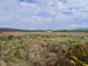 Thumbnail Land for sale in Norseman, Firth, Orkney