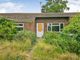 Thumbnail Bungalow for sale in Langley Road, Cantley, Norwich