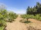 Thumbnail Country house for sale in Country Finca, Santa Eugènia, Mallorca, 07142