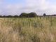 Thumbnail Land for sale in Cottam, Retford