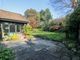 Thumbnail Detached bungalow for sale in Birchington Close, Bexhill-On-Sea