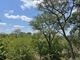 Thumbnail Land for sale in 185 Moria, 185 Moria, Moditlo Nature Reserve, Hoedspruit, Limpopo Province, South Africa