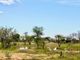 Thumbnail Farm for sale in 5 Nyumbani Estate, 5 Essem, Hoedspruit, Limpopo Province, South Africa