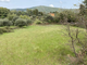 Thumbnail Land for sale in Vale De Prazeres, Castelo Branco, Portugal