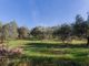 Thumbnail Villa for sale in Cetona, Siena, Tuscany