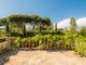 Thumbnail Villa for sale in Via Vasari, 10, Camaiore, It