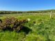 Thumbnail Land for sale in Fagwr Farm, Penparc, Cardigan