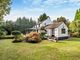 Thumbnail Detached house for sale in Waverley Drive, Camberley, Surrey