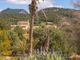 Thumbnail Country house for sale in Spain, Mallorca, Felanitx, Es Carritxó