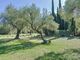 Thumbnail Property for sale in Fayence, Provence-Alpes-Cote D'azur, 83440, France