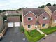 Thumbnail Detached house for sale in Sorrel Place, Newton Abbot