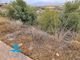 Thumbnail Land for sale in Coin, Malaga, Spain