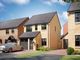 Thumbnail Semi-detached house for sale in "The Piccadilly" at Ann Strutt Close, Hadleigh, Ipswich
