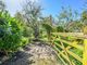 Thumbnail Semi-detached house for sale in Stream Cottages, Middleyard, King's Stanley