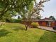 Thumbnail Bungalow for sale in Redhill Close, Diss