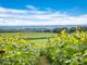 Thumbnail Land for sale in Boughspring, Chepstow, Gloucestershire