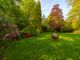 Thumbnail Detached house for sale in Wellingtonia Avenue, Crowthorne, Berkshire