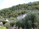 Thumbnail Detached house for sale in San Martino, Soldano, Imperia, Liguria, Italy