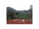 Thumbnail Land for sale in Casais De Odelouca, Silves, Silves