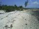 Thumbnail Land for sale in Salt Pond Cay, The Bahamas
