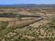 Thumbnail Land for sale in Spain, Mallorca, Sa Pobla