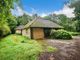 Thumbnail Detached bungalow for sale in Tudor Close, Pulborough, West Sussex