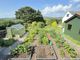 Thumbnail Detached house for sale in Canna, St. Austell