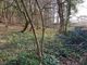 Thumbnail Land for sale in Eaglesbush Valley, Neath, Neath Port Talbot.