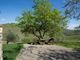 Thumbnail Farmhouse for sale in Radda In Chianti, Siena, Tuscany, Italy