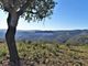 Thumbnail Land for sale in 170Ha With Cork And House In Serra Do Caldeirão, Portugal
