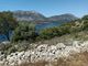 Thumbnail Land for sale in Kastos, Kastos, Greece