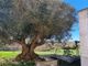 Thumbnail Property for sale in Martina Franca, Puglia, 74015, Italy