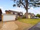 Thumbnail Detached house for sale in Hall Hills, Roydon, Diss