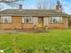 Thumbnail Bungalow for sale in Long Green, Wortham, Diss