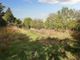 Thumbnail Property for sale in Colchester Main Road, Alresford