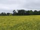 Thumbnail Land for sale in Skirpenbeck, York