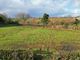 Thumbnail Land for sale in Halwill, Beaworthy