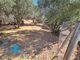 Thumbnail Country house for sale in Alhaurin El Grande, Malaga, Spain