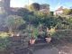 Thumbnail Flat for sale in Runnymede, Sketty, Swansea