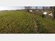 Thumbnail Land for sale in Bramber, Steyning