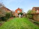 Thumbnail Detached house to rent in Layer Road, Colchester