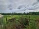 Thumbnail Equestrian property for sale in Cross Hands, Llanelli