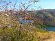 Thumbnail Farm for sale in Property 100Ha, Near River Douro, Vineyard, Winery, Portugal