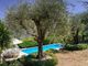 Thumbnail Villa for sale in Le Broc, Nice Area, French Riviera