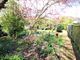 Thumbnail Semi-detached bungalow for sale in Grangecourt Drive, Bexhill-On-Sea