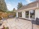 Thumbnail Detached house for sale in The Drive, Summersdale, Chichester